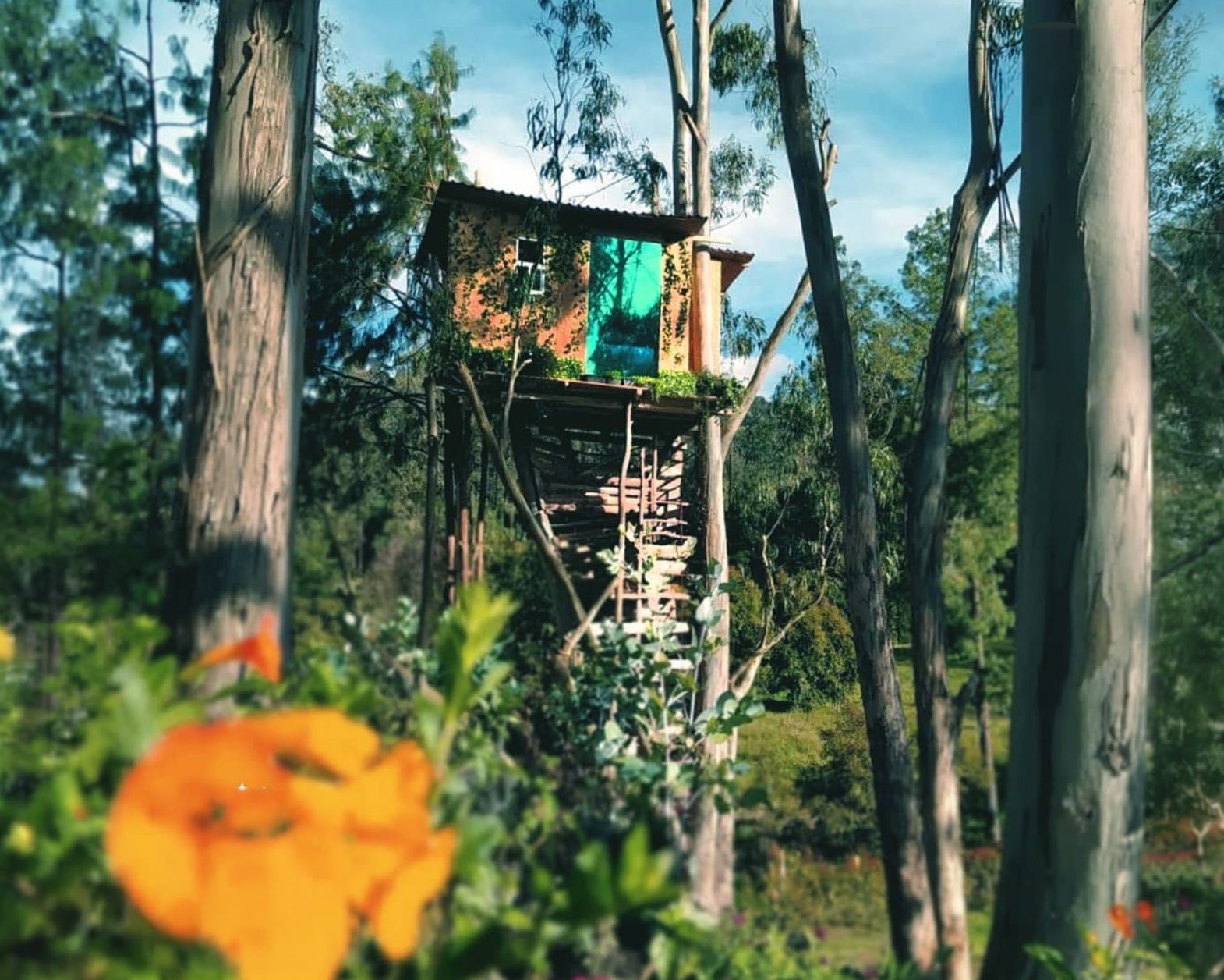 Casa del Árbol, para 2 personas — Villa del Árbol — Tibaná, Boyacá