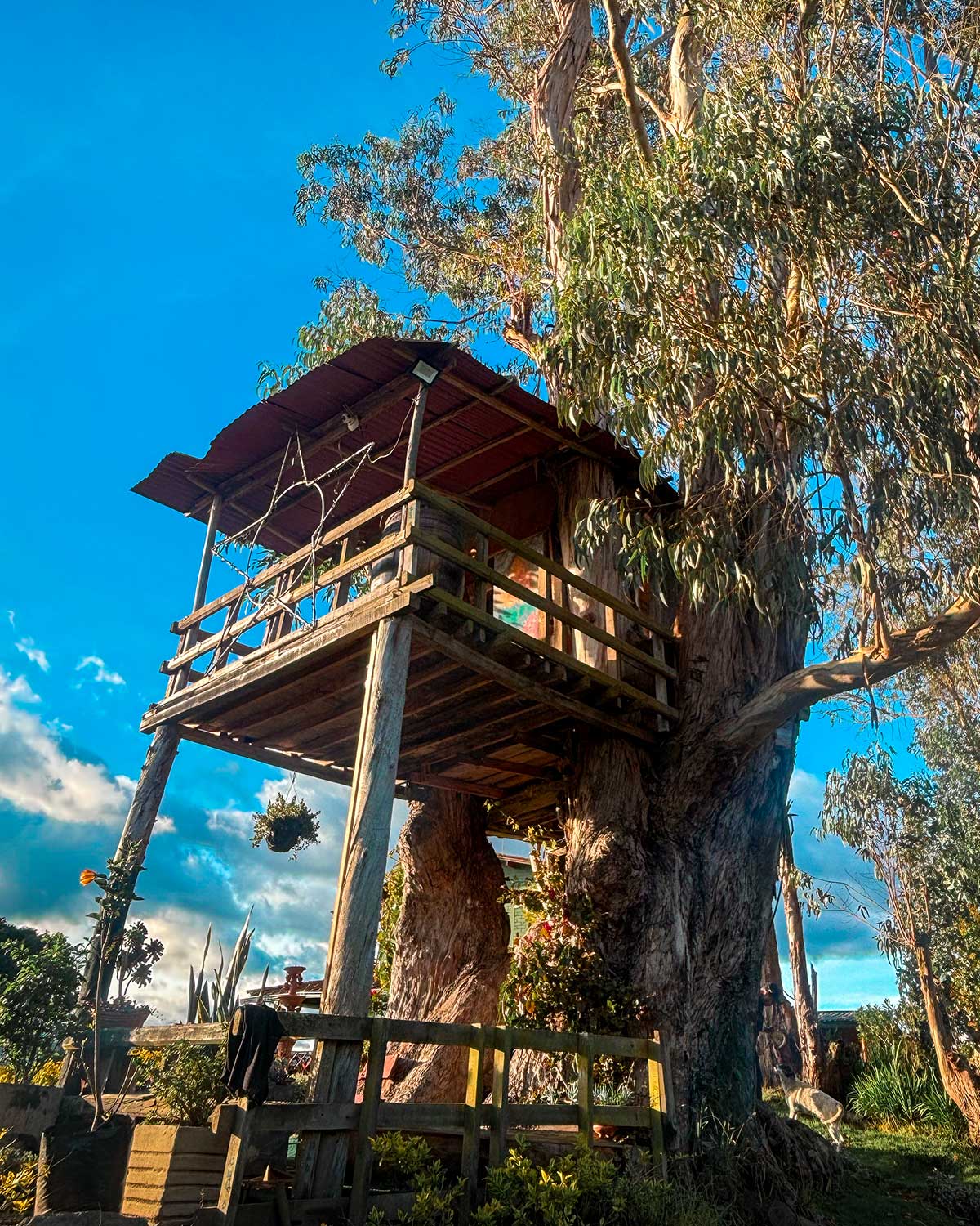 Casita Camping, para 2 personas — Villa del Árbol — Tibaná, Boyacá
